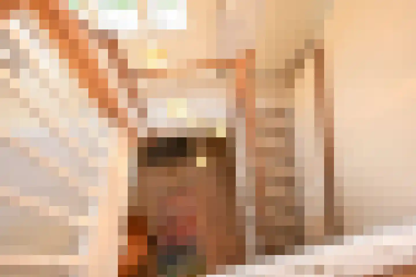Konijnenlaan 27 Wassenaar thumbnail 30