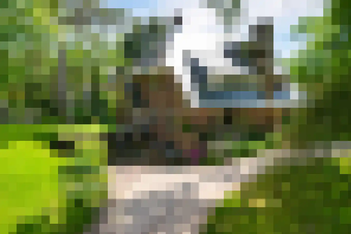 Konijnenlaan 27 Wassenaar thumbnail 38
