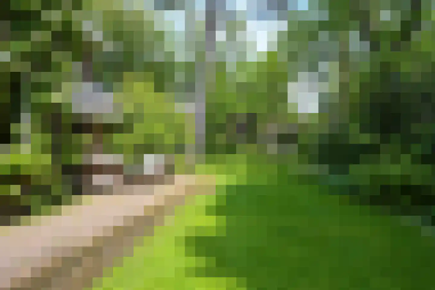 Konijnenlaan 27 Wassenaar thumbnail 40