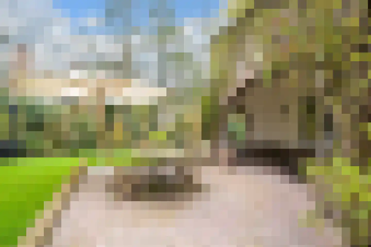 Konijnenlaan 27 Wassenaar thumbnail 40