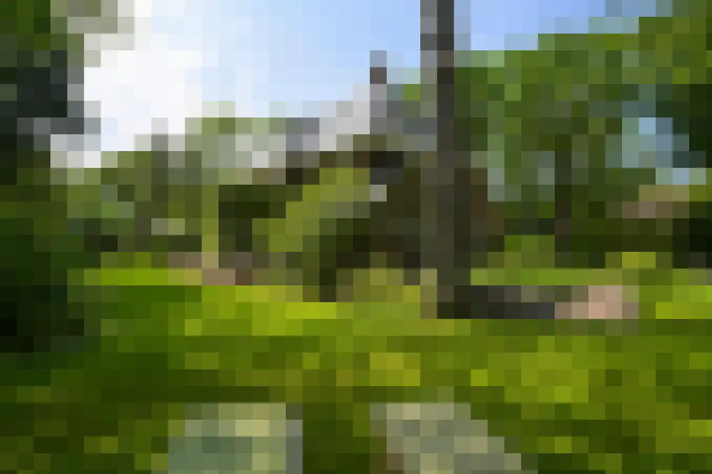 Konijnenlaan 27 Wassenaar thumbnail 9