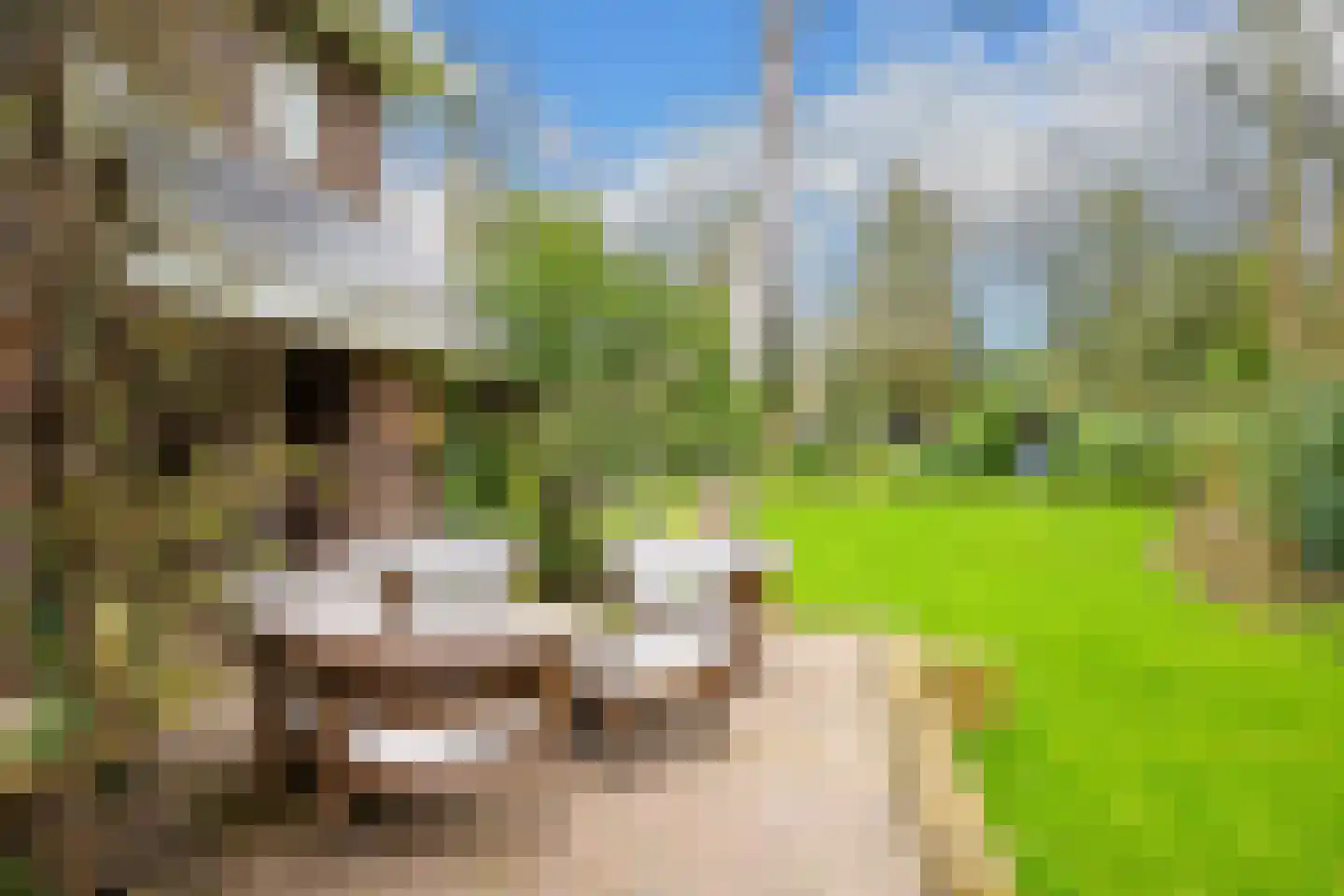 Konijnenlaan 27 Wassenaar thumbnail 9