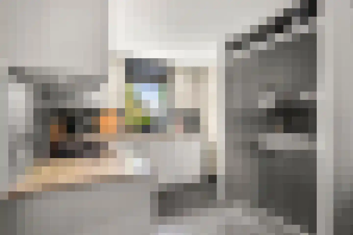 Konijnenlaan 3 Lunteren thumbnail 10