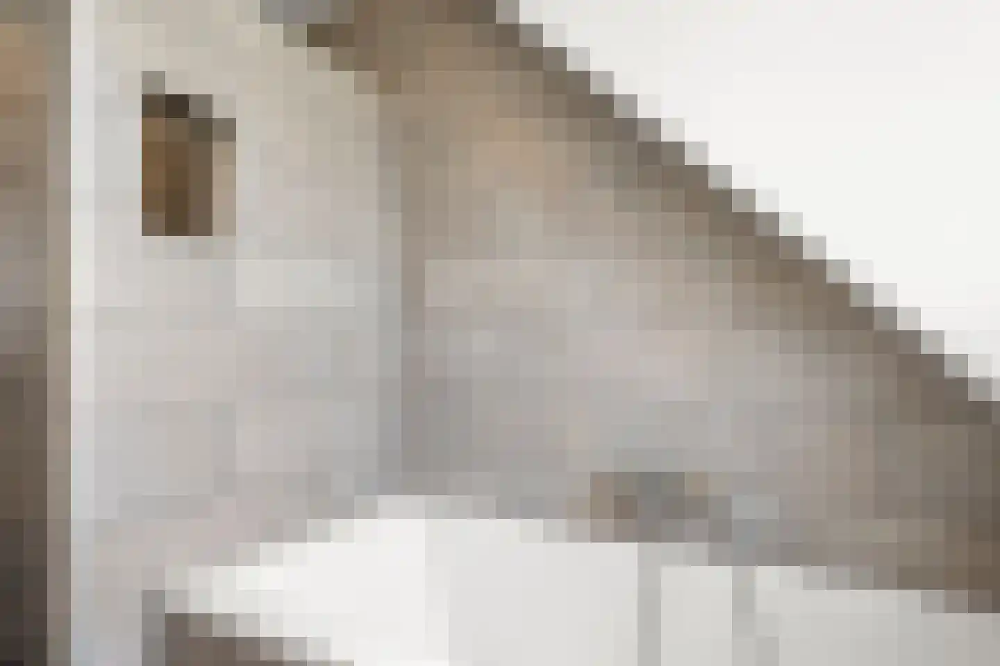 Konijnenlaan 3 Lunteren thumbnail 27