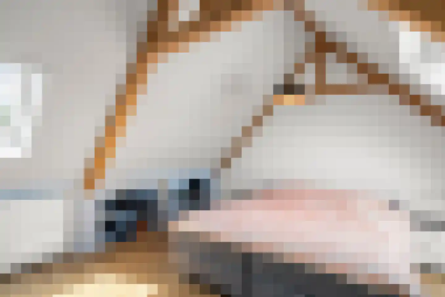 Konijnenlaan 3 Lunteren thumbnail 28