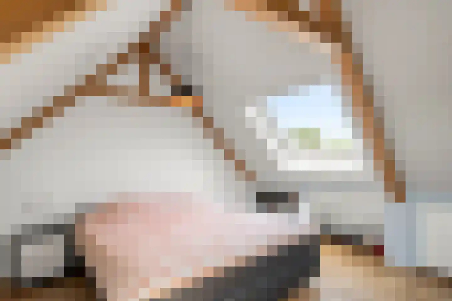 Konijnenlaan 3 Lunteren thumbnail 29
