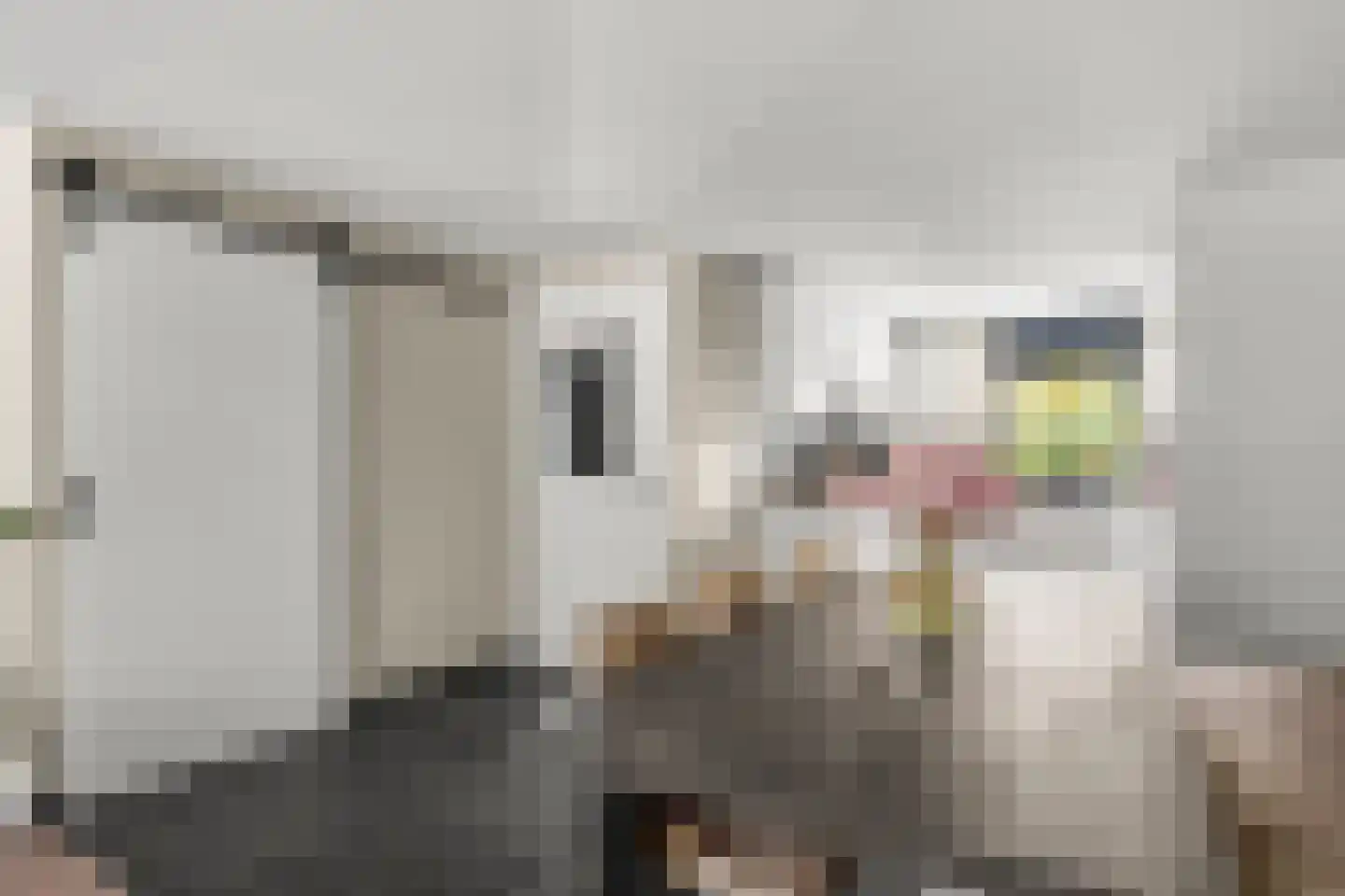 Konijnenlaan 3 Lunteren foto 3