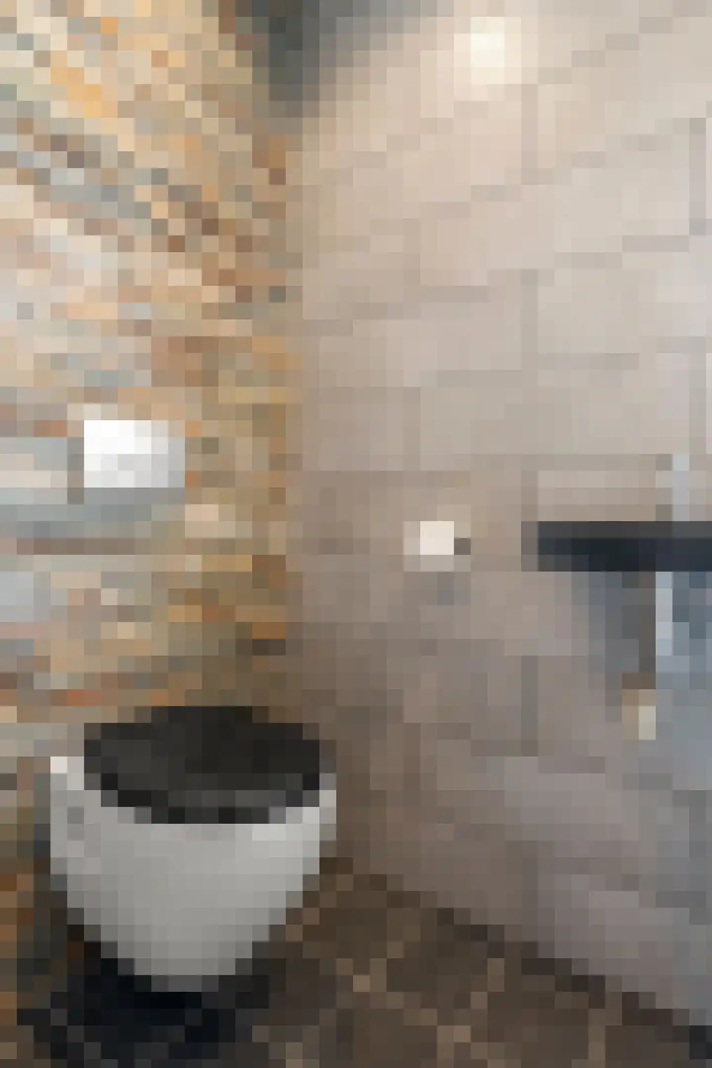 Konijnenlaan 3 Lunteren thumbnail 8
