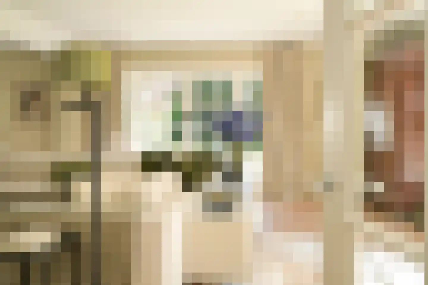 Konijnenlaan 36 A Wassenaar thumbnail 12