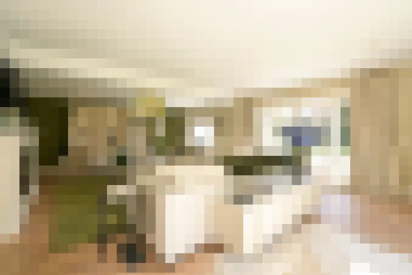 Konijnenlaan 36 A Wassenaar thumbnail 13