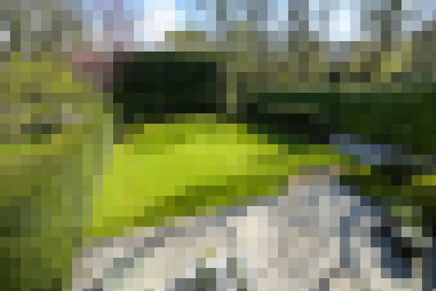 Konijnenlaan 36 A Wassenaar thumbnail 19