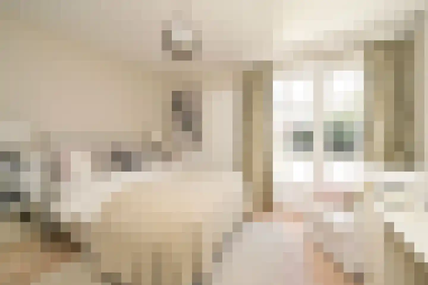 Konijnenlaan 36 A Wassenaar thumbnail 23