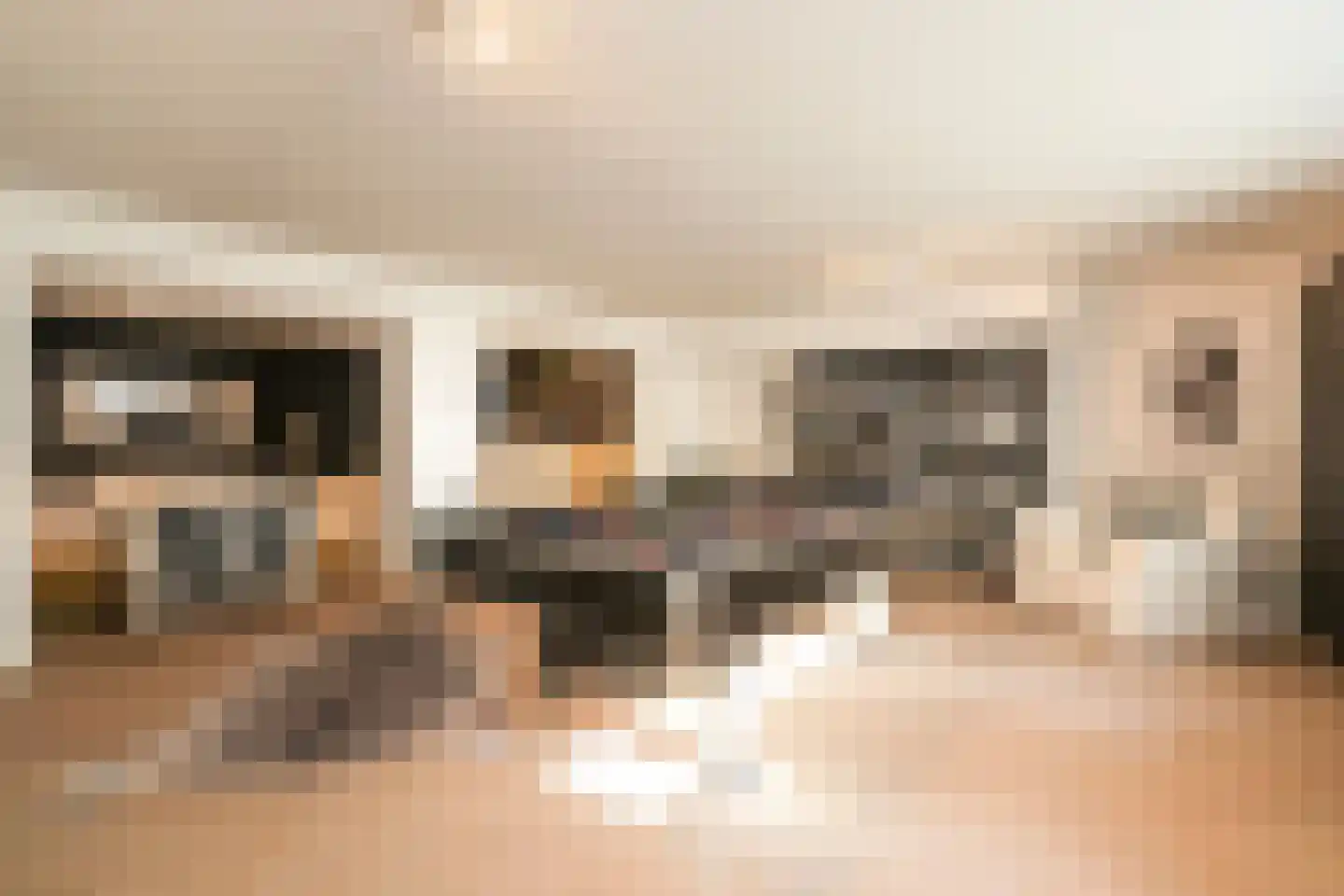 Konijnenlaan 36 A Wassenaar thumbnail 30