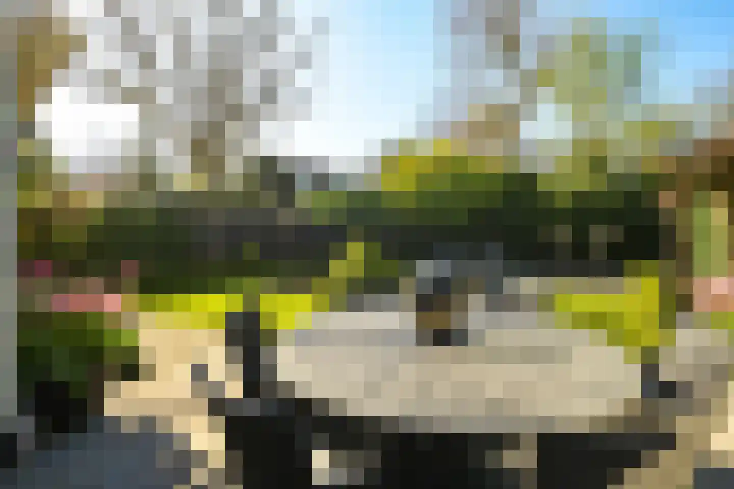 Konijnenlaan 36 A Wassenaar thumbnail 34
