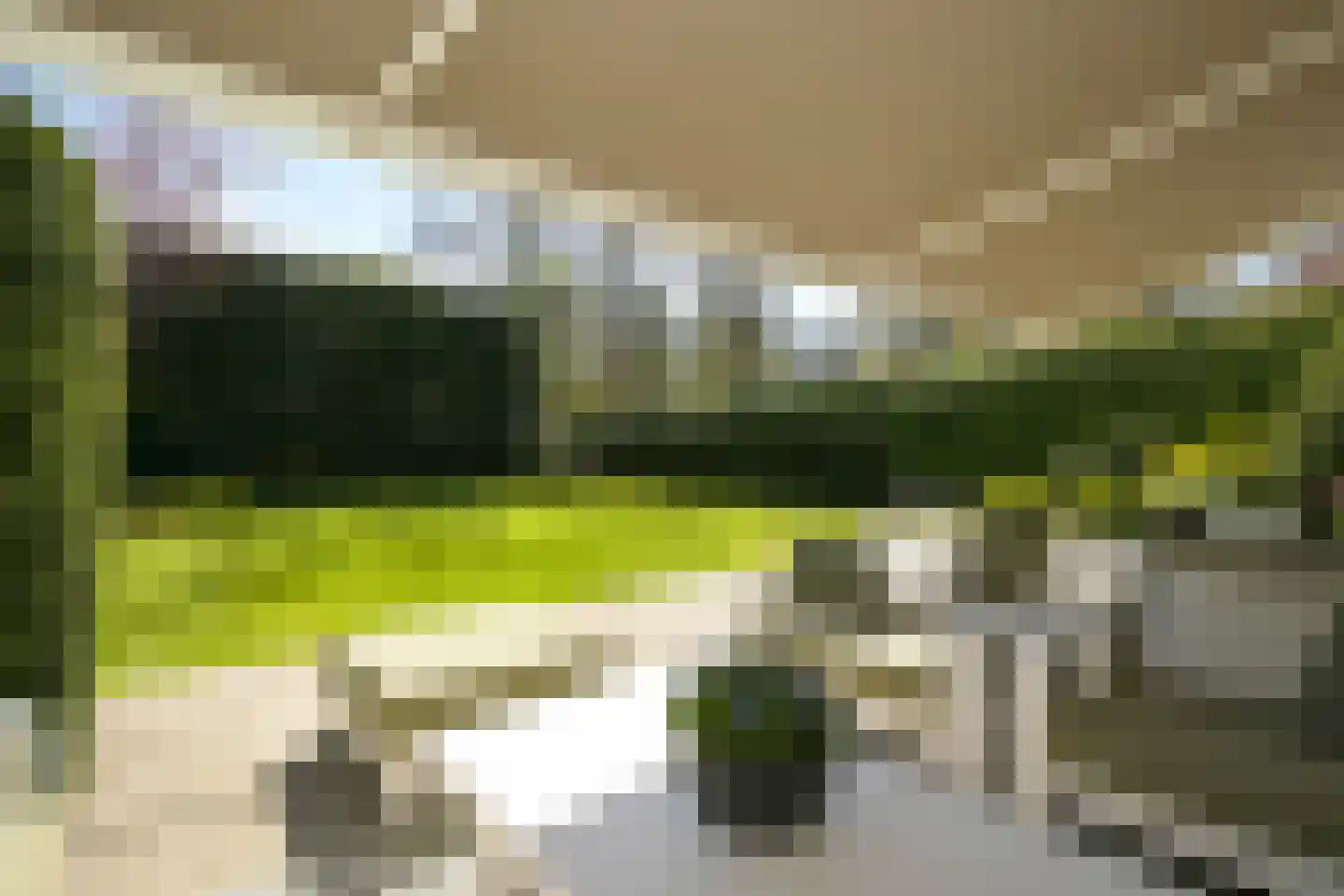 Konijnenlaan 36 A Wassenaar thumbnail 9