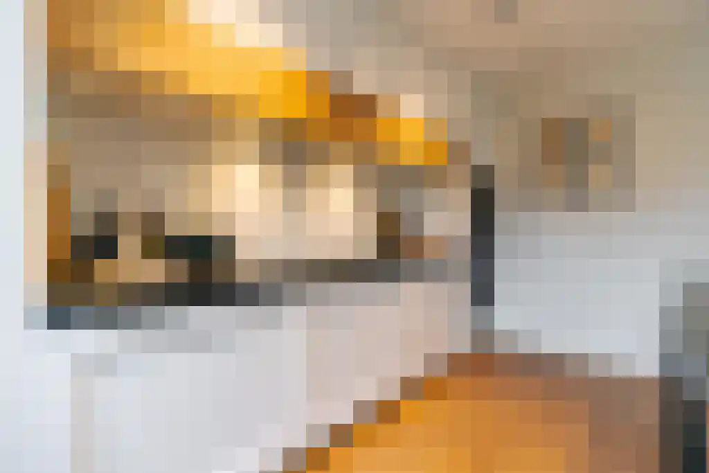 Konijnenlaan 50 Wassenaar thumbnail 14