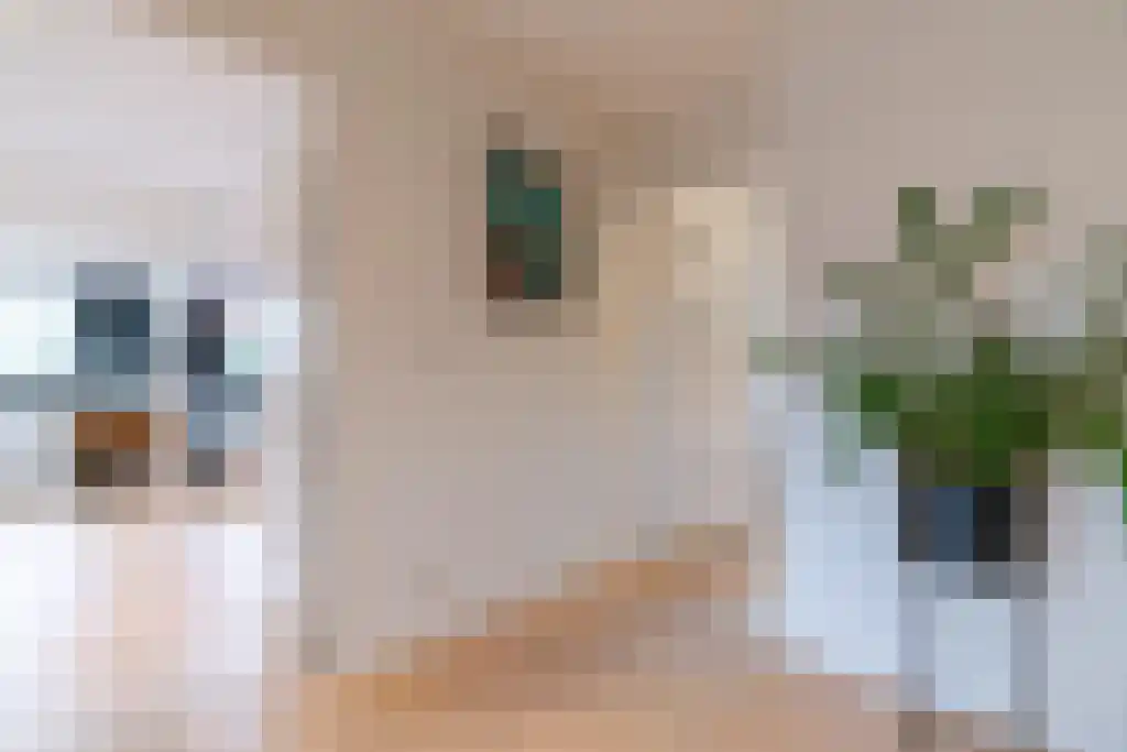 Konijnenlaan 50 Wassenaar thumbnail 25