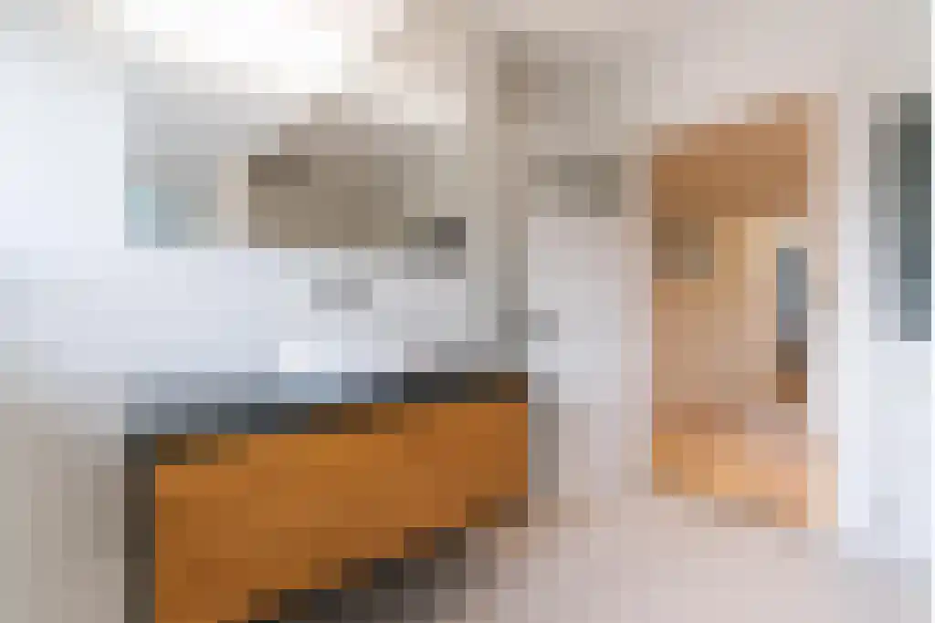 Konijnenlaan 50 Wassenaar thumbnail 30