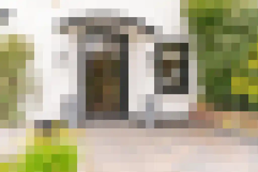 Konijnenlaan 50 Wassenaar thumbnail 5