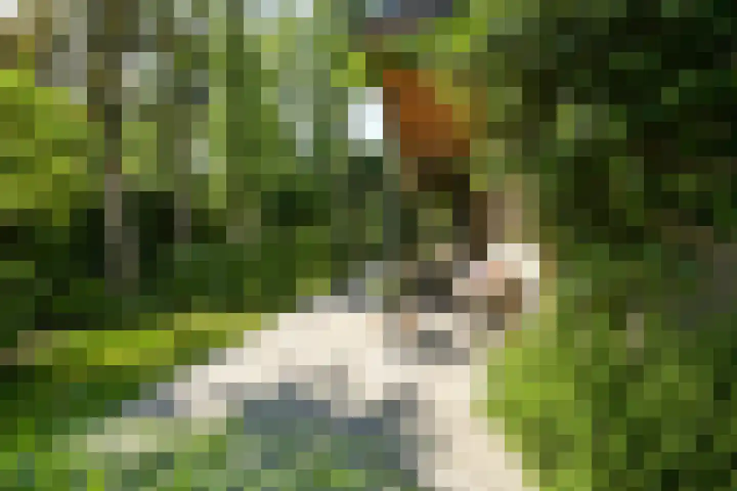 Konijnenlaan 53 A Wassenaar thumbnail 21