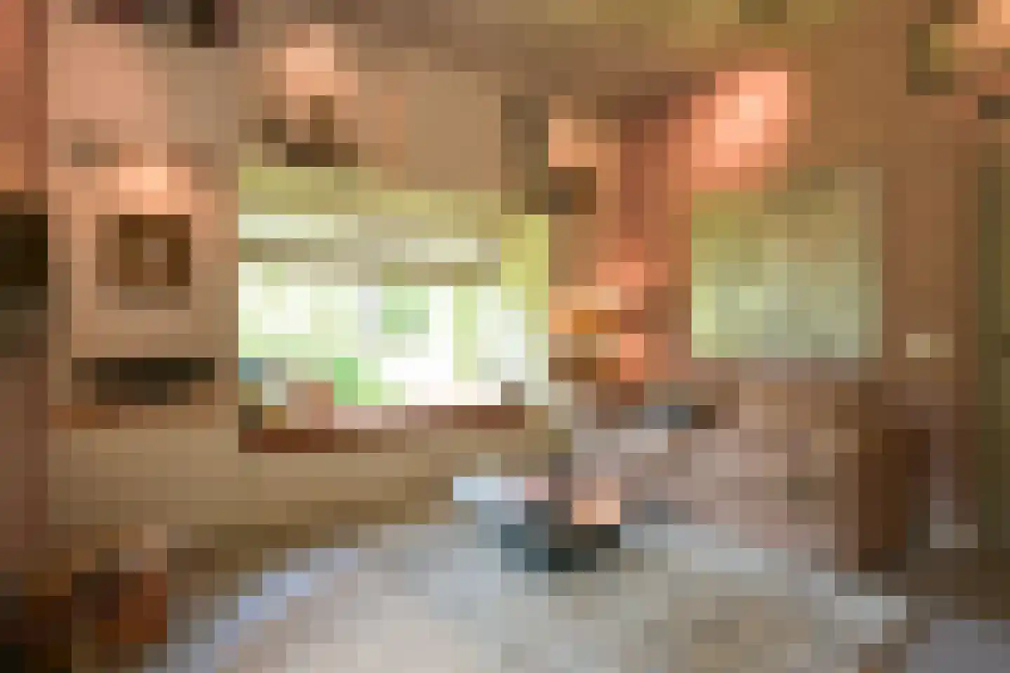 Konijnenlaan 53 A Wassenaar thumbnail 22