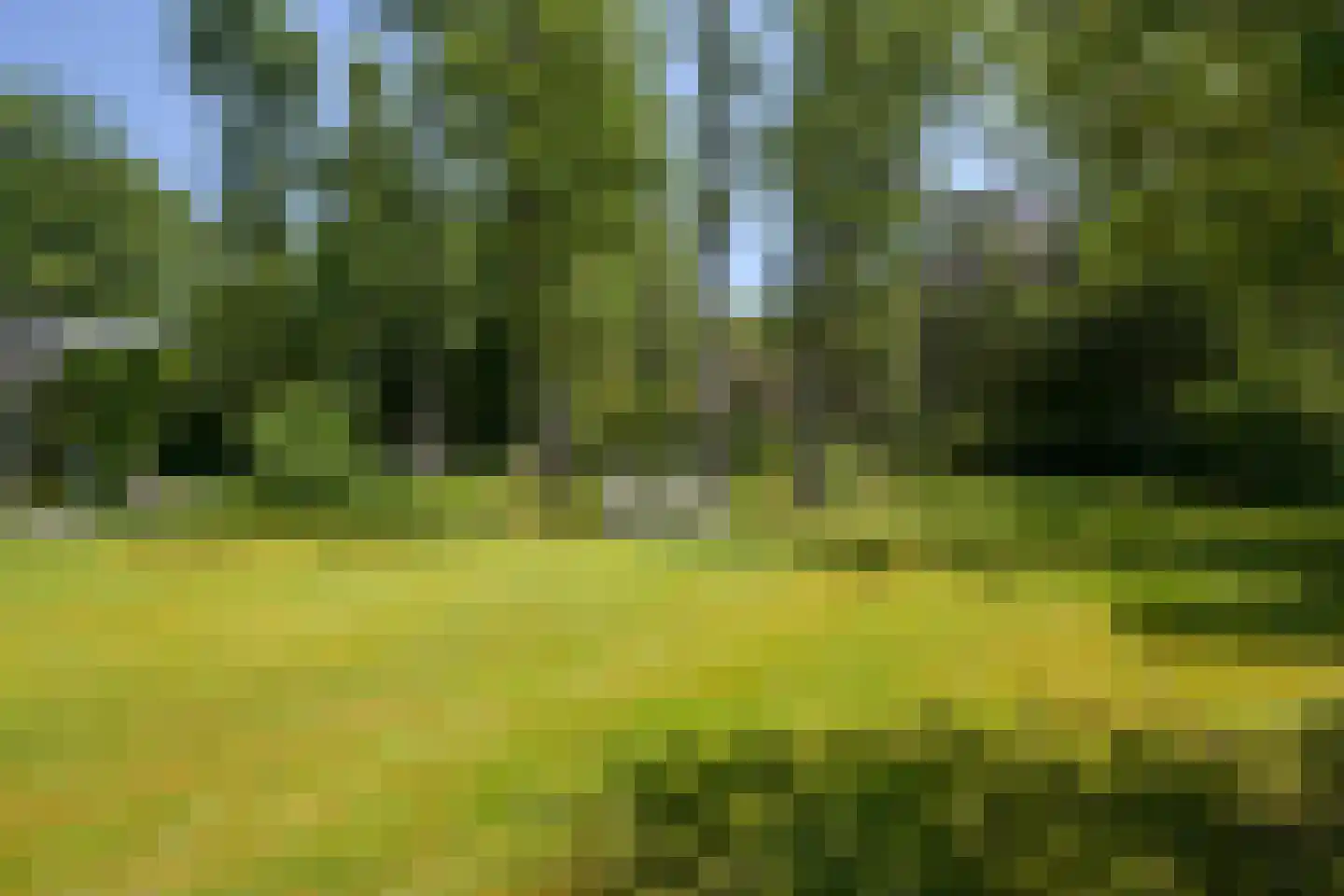 Konijnenlaan 53 A Wassenaar thumbnail 26