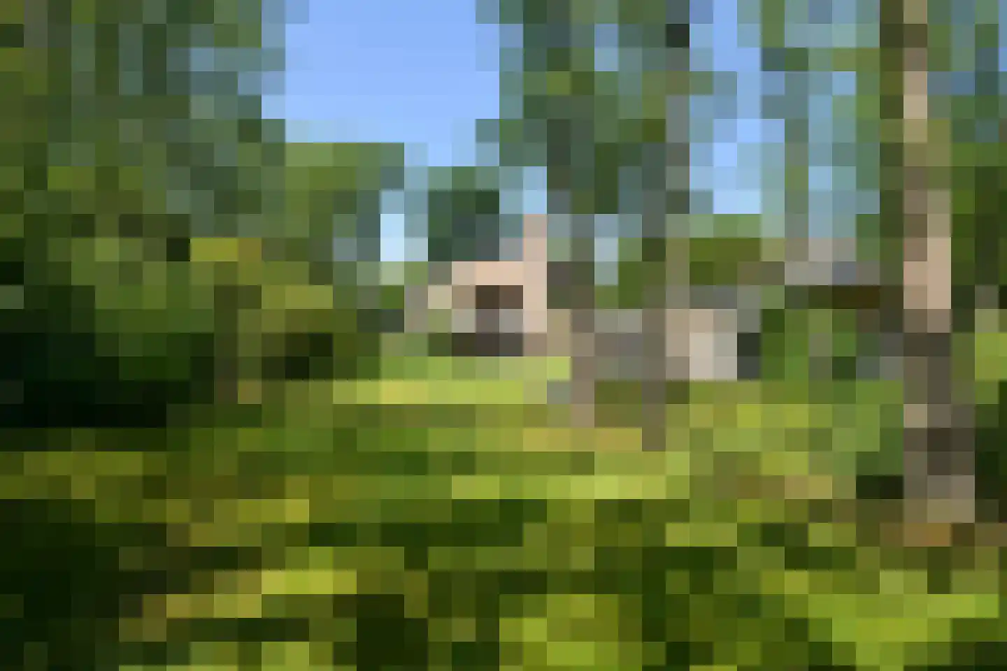Konijnenlaan 53 A Wassenaar thumbnail 27