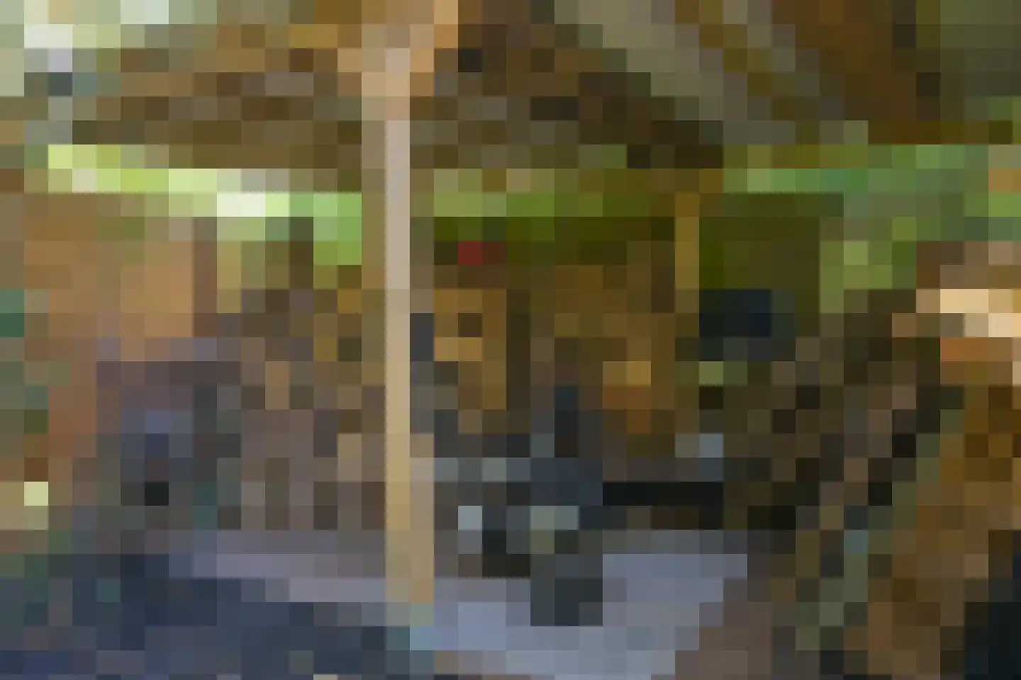 Konijnenlaan 53 A Wassenaar thumbnail 28