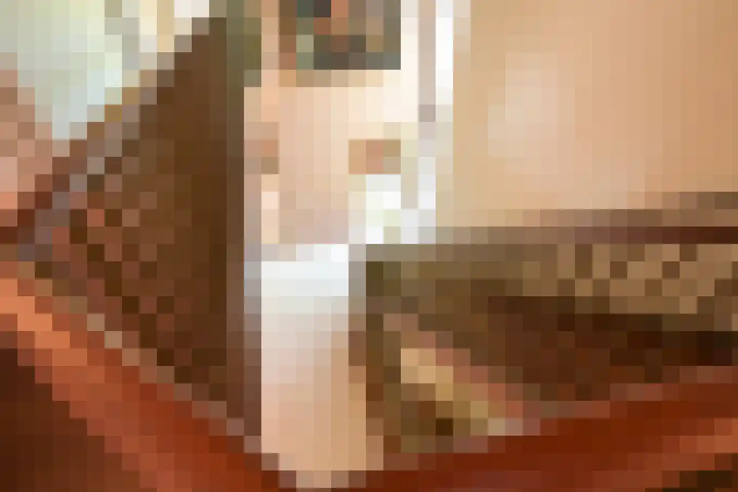 Konijnenlaan 53 A Wassenaar thumbnail 31