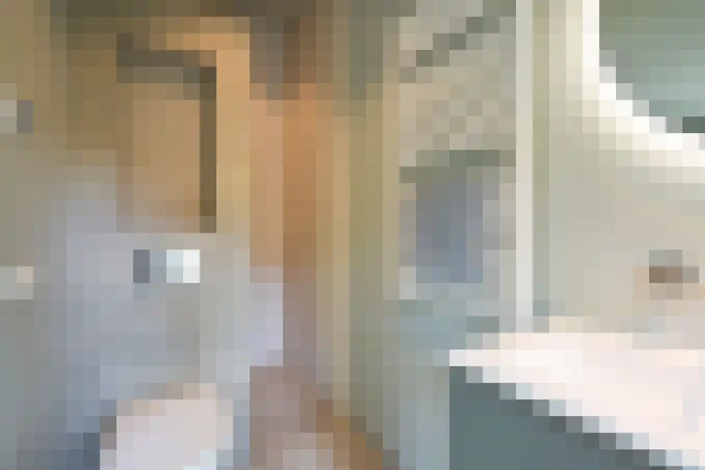 Konijnenlaan 53 A Wassenaar thumbnail 37