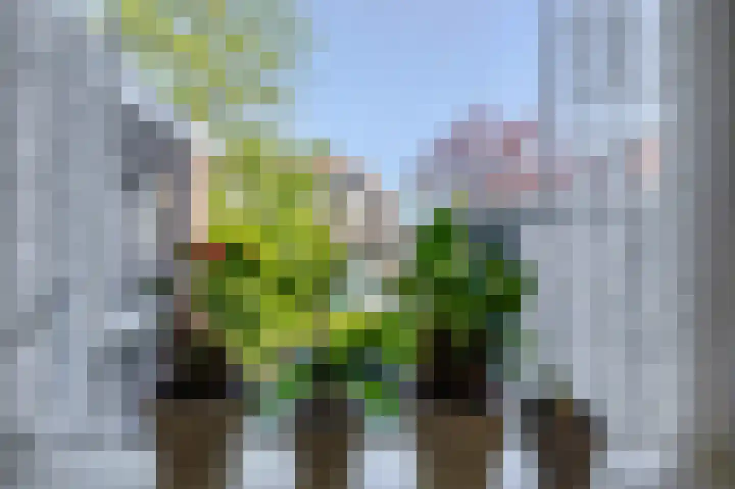 Konijnenpad 13 C Zaandam thumbnail 11