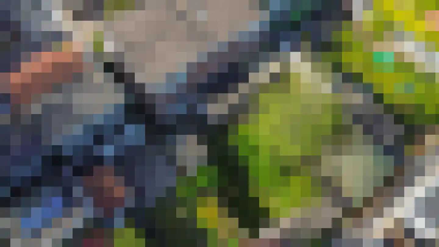 Konijnenpad 13 C Zaandam thumbnail 38