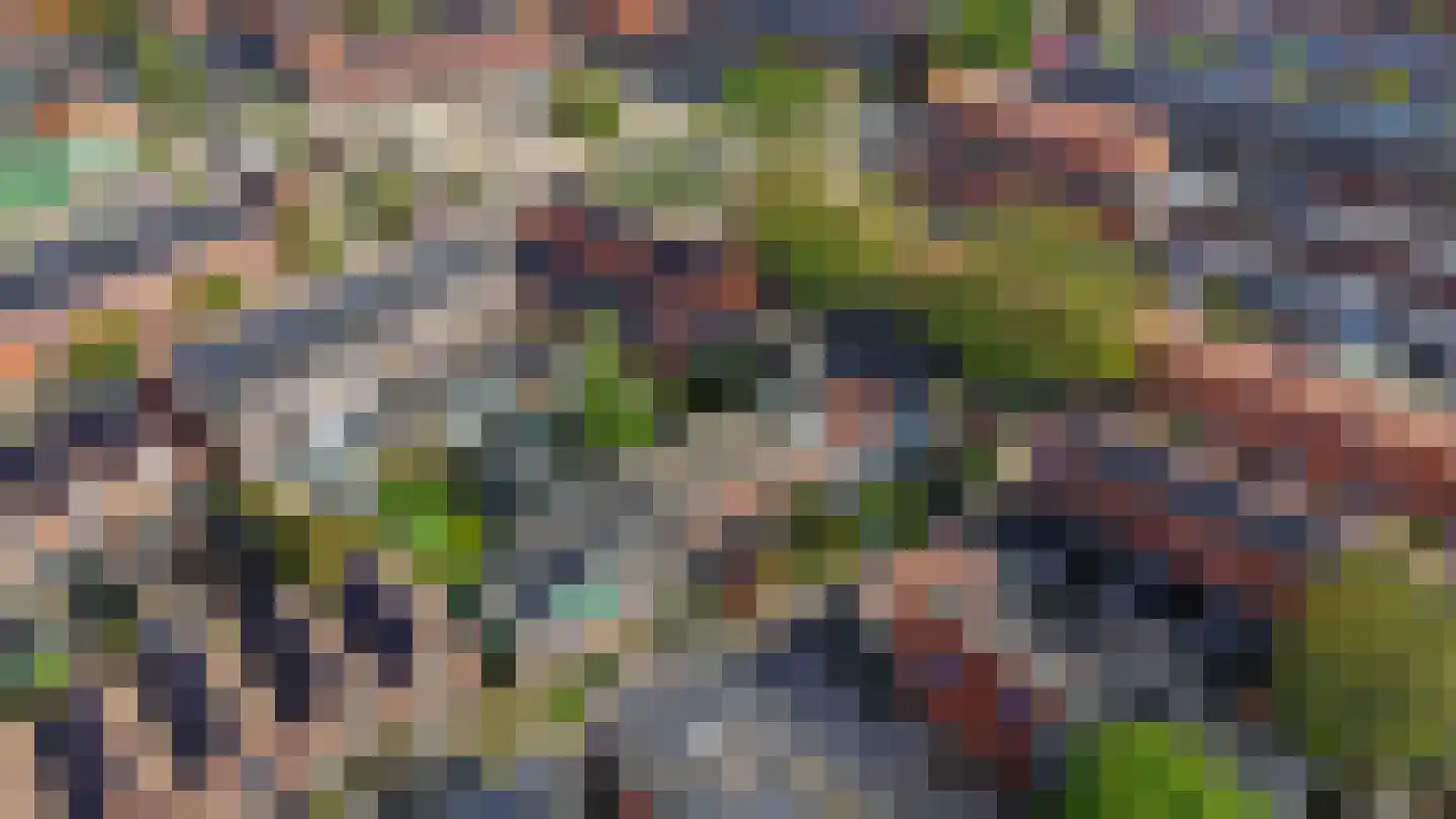 Konijnenpad 13 C Zaandam thumbnail 42