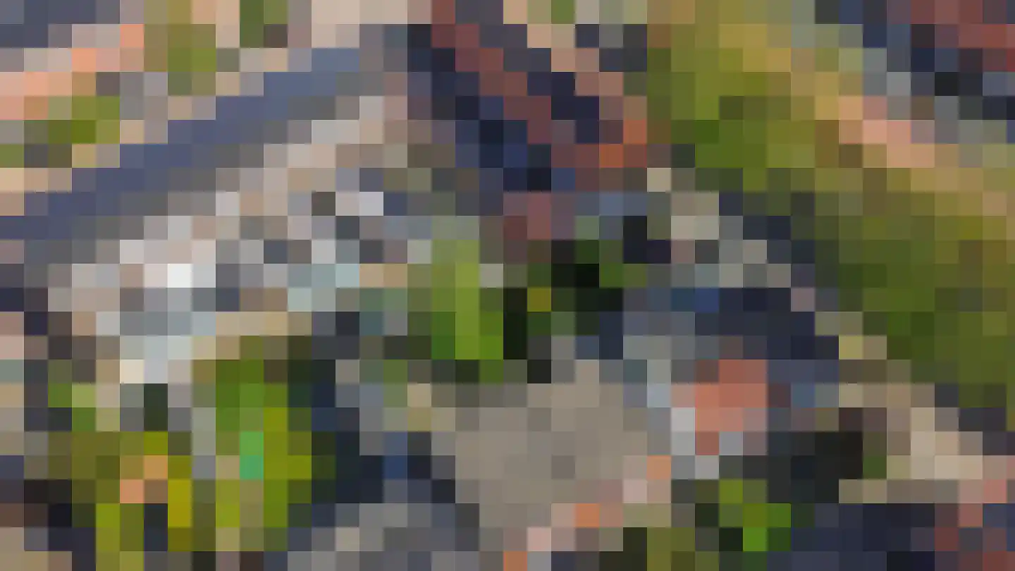 Konijnenpad 13 C Zaandam thumbnail 46