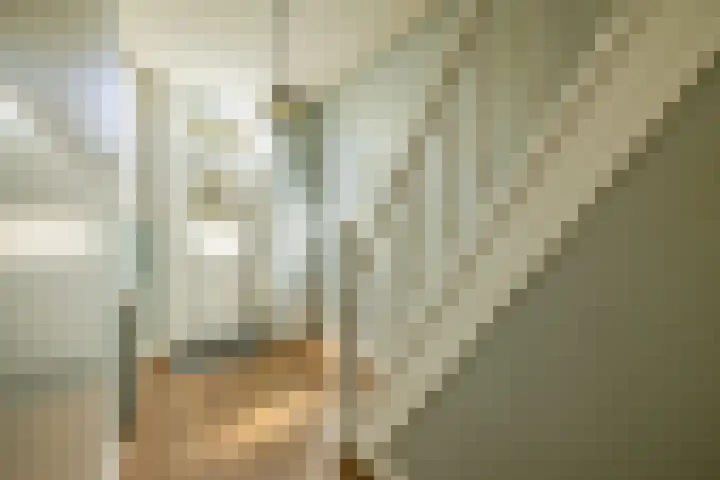 Konijnenpad 13 C Zaandam thumbnail 6