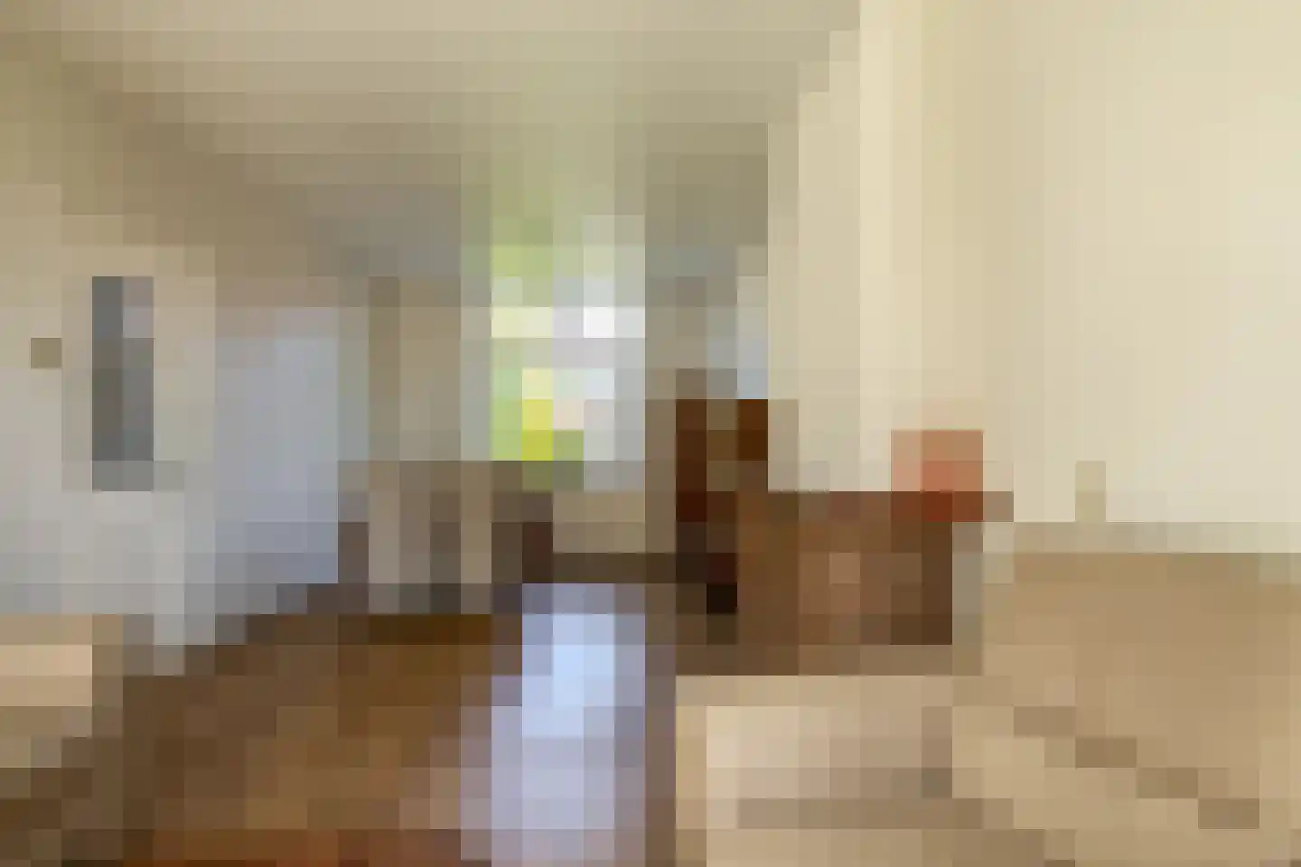 Konijnenpad 13 C Zaandam thumbnail 9
