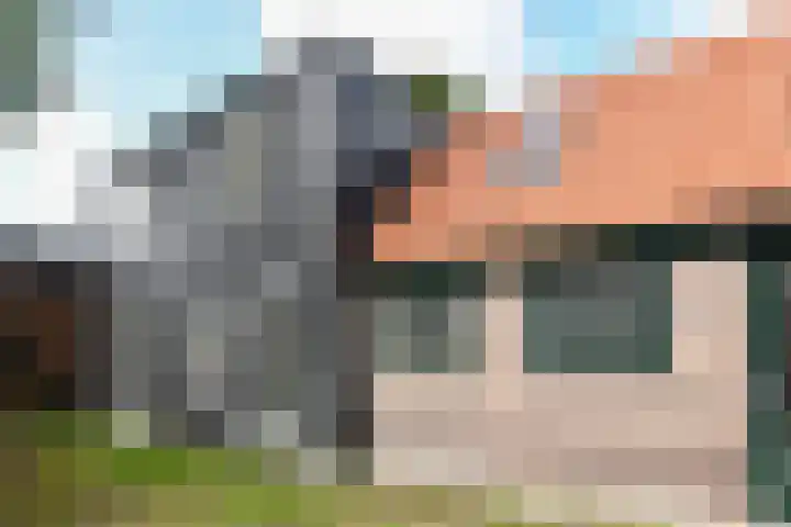 Konijnenpad 38 Zaandam thumbnail 10
