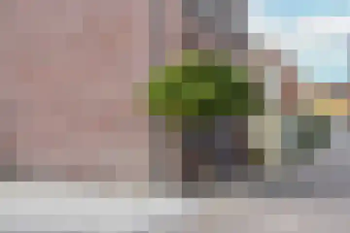 Konijnenpad 40 Zaandam thumbnail 28
