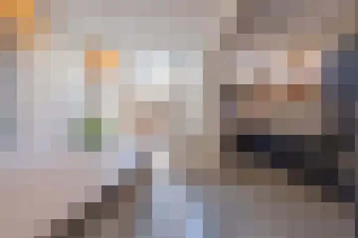 Konijnenwal 28 Tiel thumbnail 13