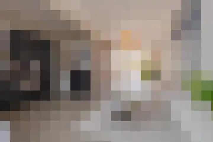 Konijnenwal 28 Tiel thumbnail 15