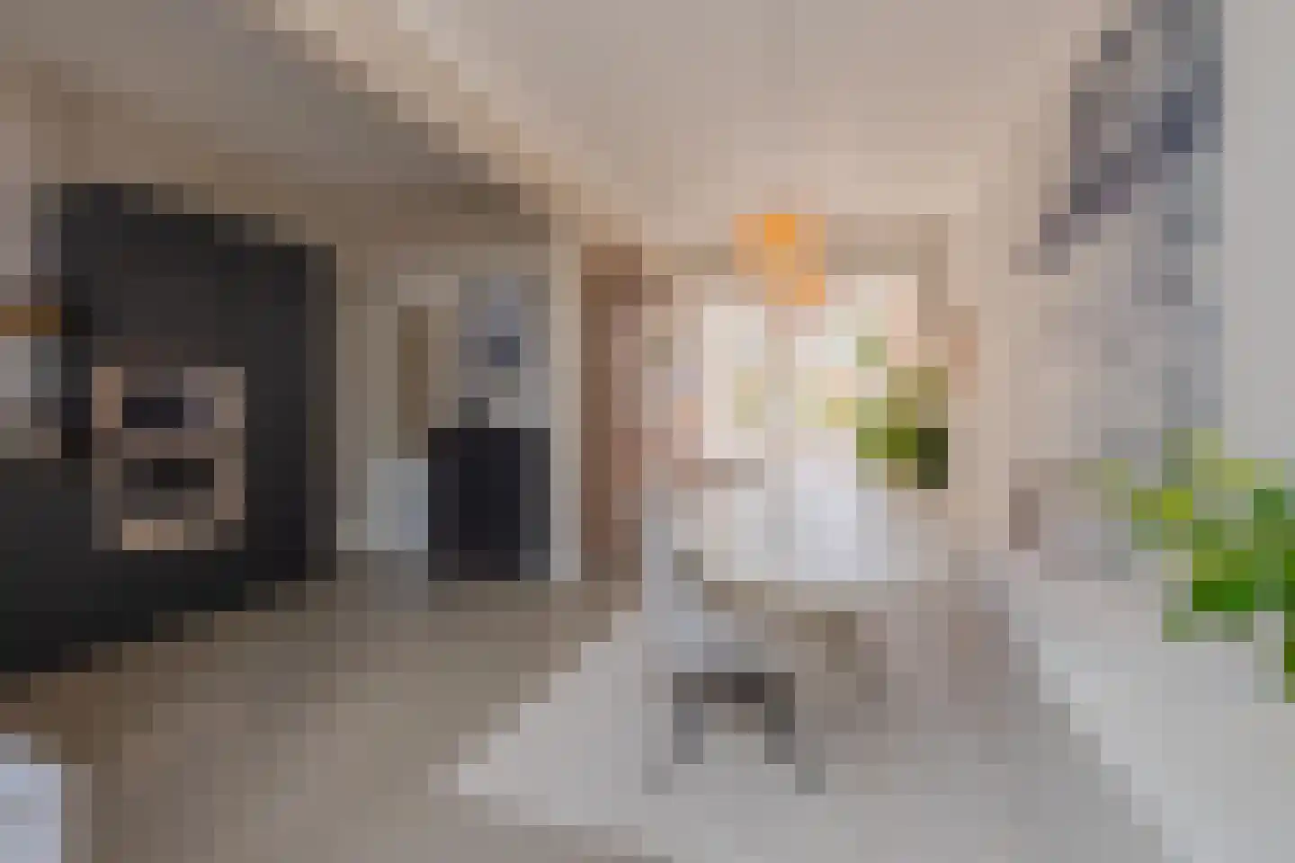 Konijnenwal 28 Tiel thumbnail 15