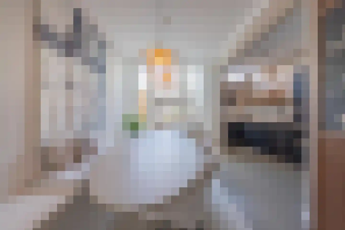 Konijnenwal 28 Tiel thumbnail 18