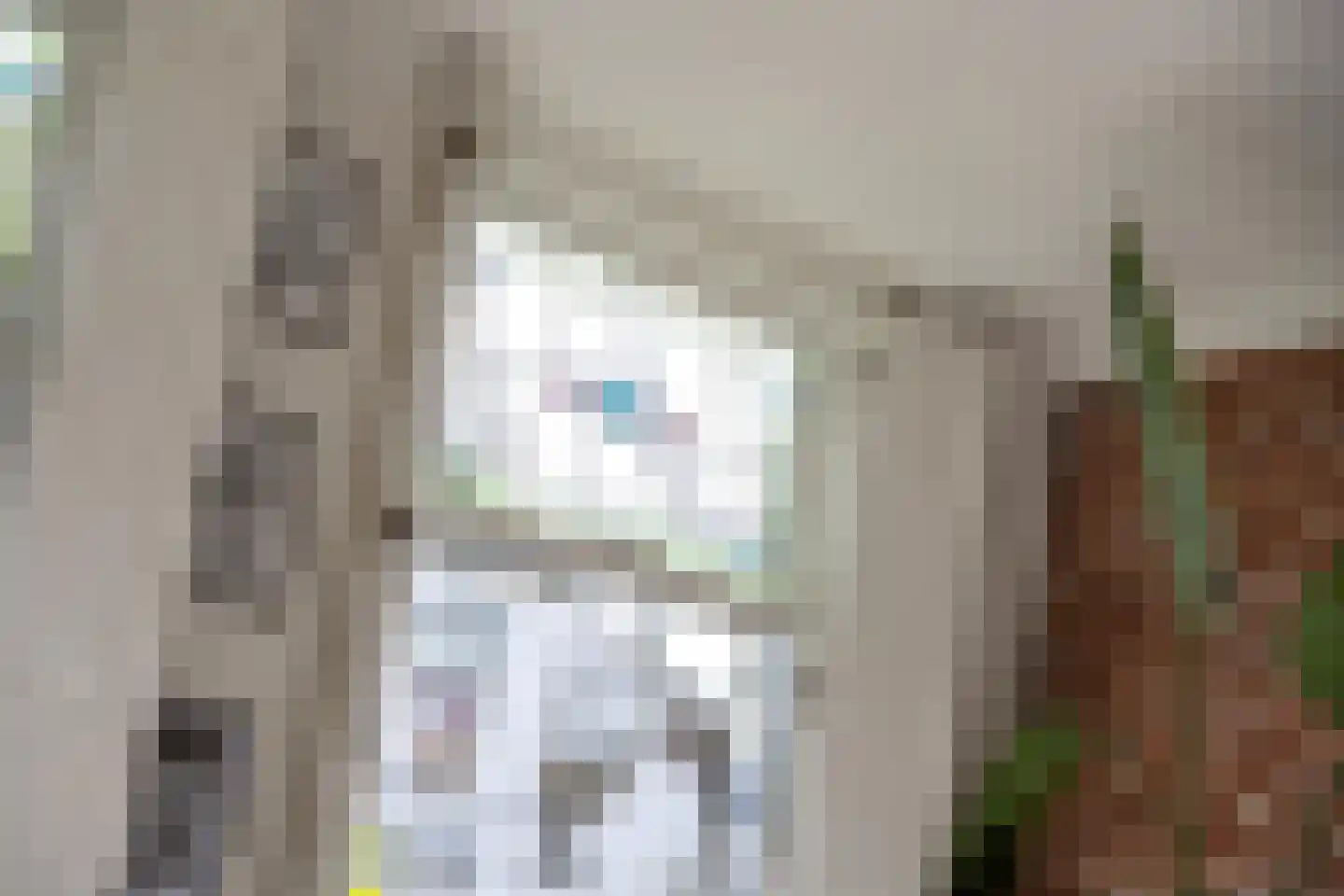Konijnenwal 28 Tiel thumbnail 22