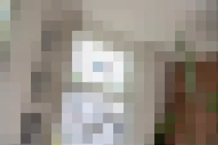 Konijnenwal 28 Tiel thumbnail 22
