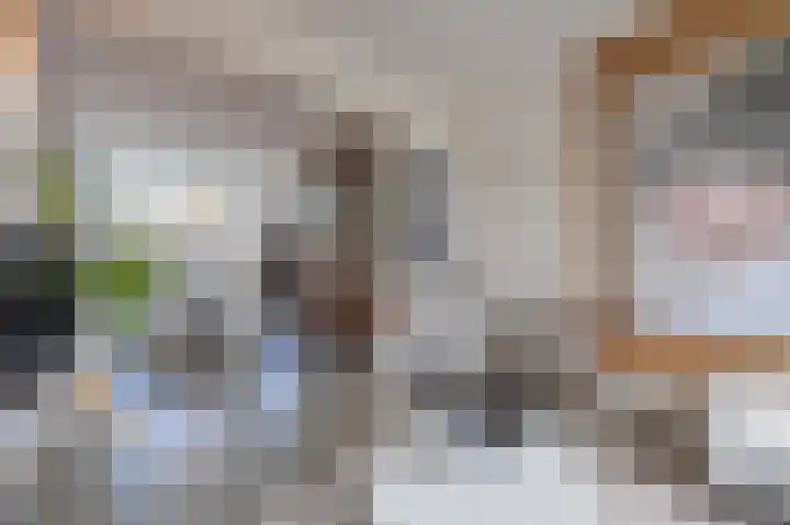 Konijnenwal 28 Tiel thumbnail 23