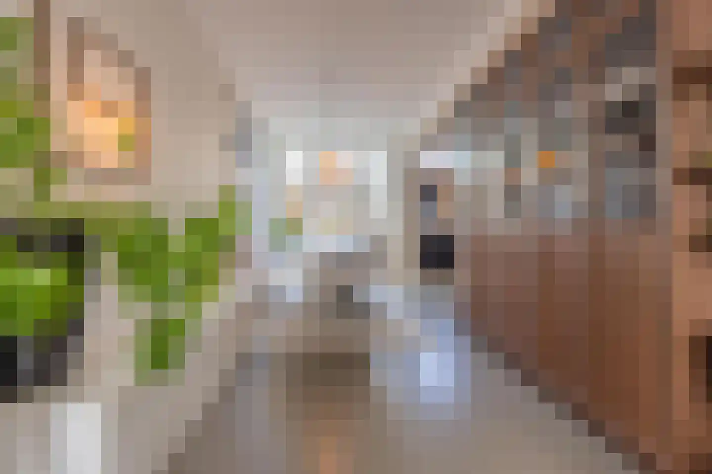 Konijnenwal 28 Tiel thumbnail 24