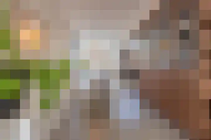 Konijnenwal 28 Tiel thumbnail 24