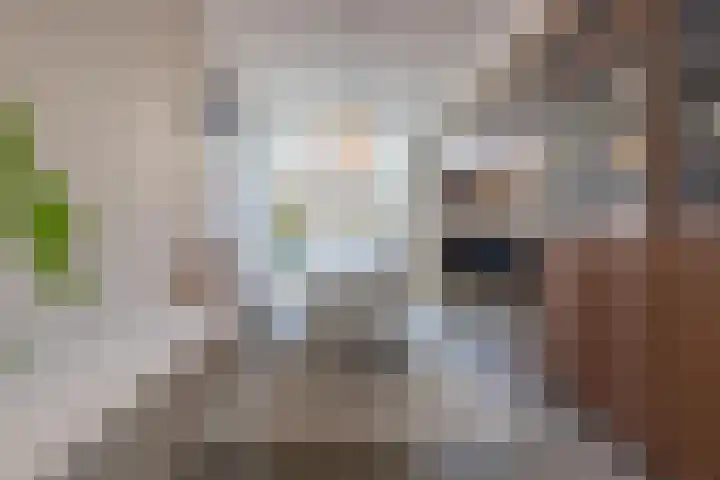Konijnenwal 28 Tiel thumbnail 25
