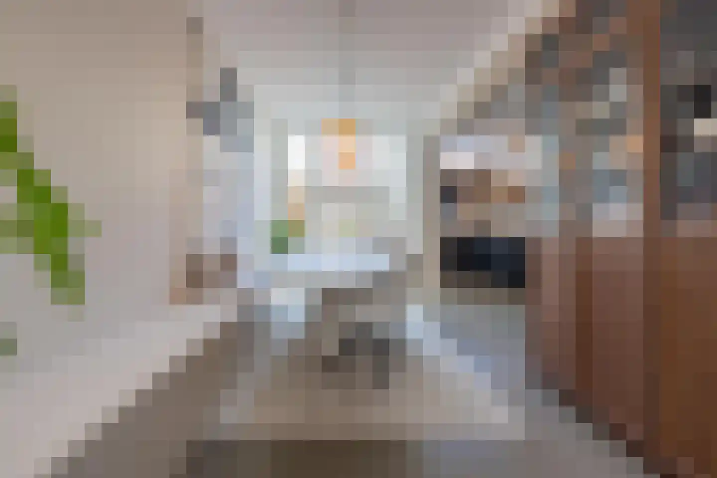 Konijnenwal 28 Tiel thumbnail 25