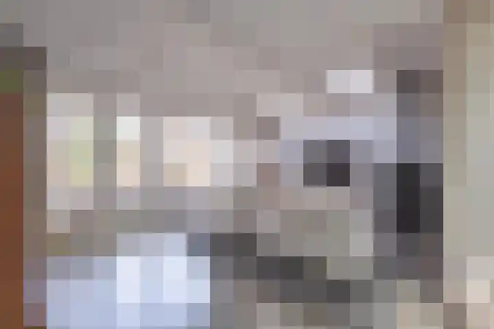 Konijnenwal 28 Tiel thumbnail 30